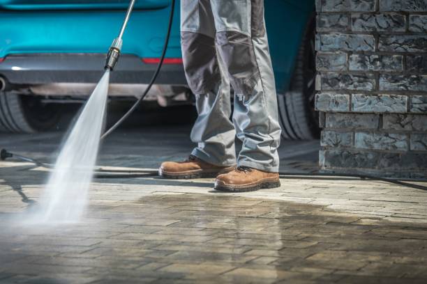 Animal Enclosure Cleaning in Riverside, CA